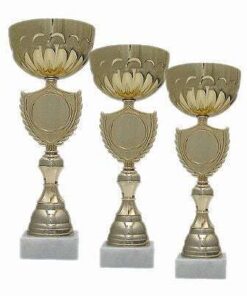 סט 3 יח גביע הוקרה לוגו גדול