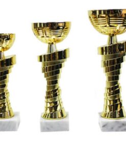 סט גביע הוקרה - 442202