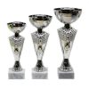 סט גביע הוקרה - 442205