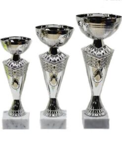 סט גביע הוקרה - 442205