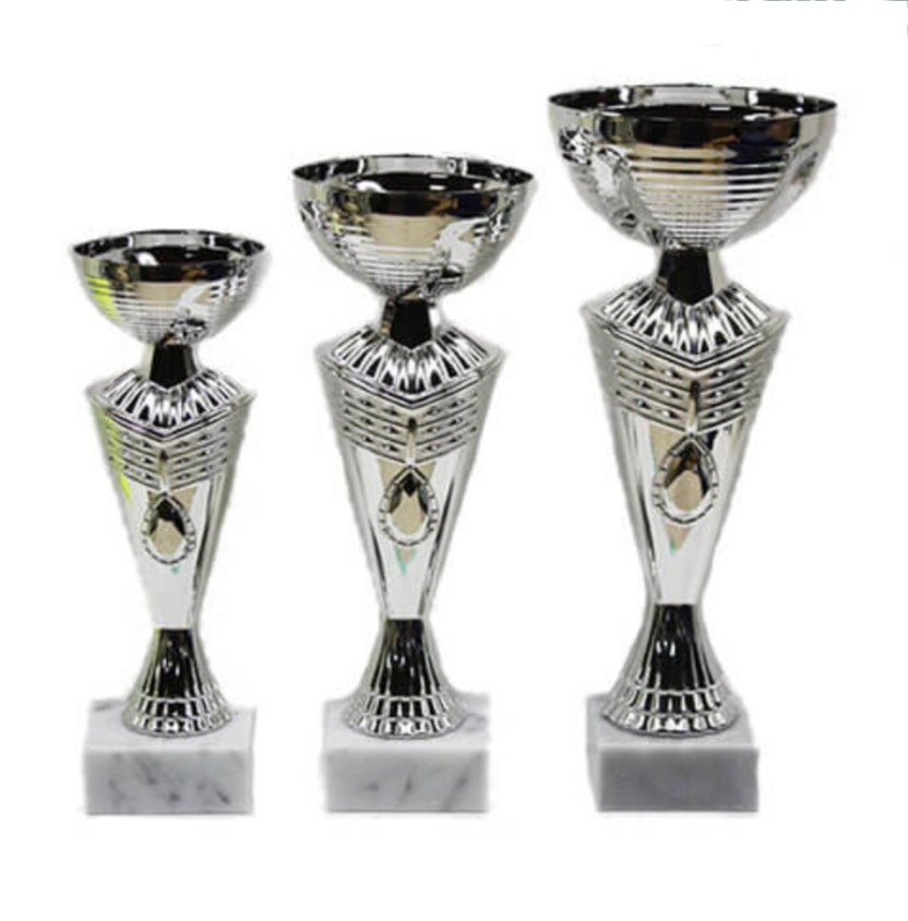 סט גביע הוקרה - 442205