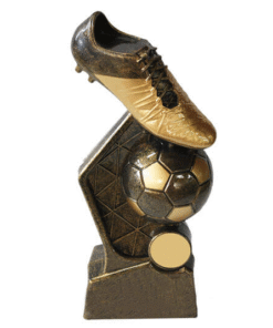 גביע כדורגל 22 ס'מ