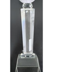 מגן קריסטל כדורסל על רגל