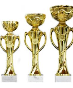 סט גביע הוקרה - 442224