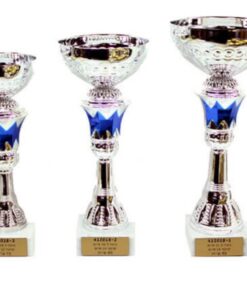 סט גביע הוקרה - 412018