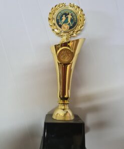 גביע כדורגל  עם לוגו הקבוצה