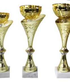 גביע הוקרה סט -442228
