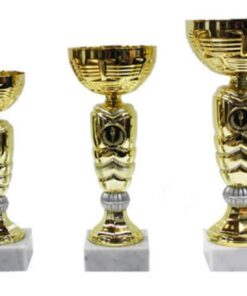 סט גביע הוקרה -  442204