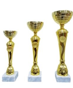 גביע מתכת פתוח זהב /כסף