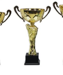 גביע “דובאי” 442203-1/2/3