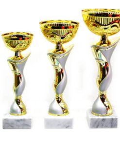 סט גביע הוקרה - 442218