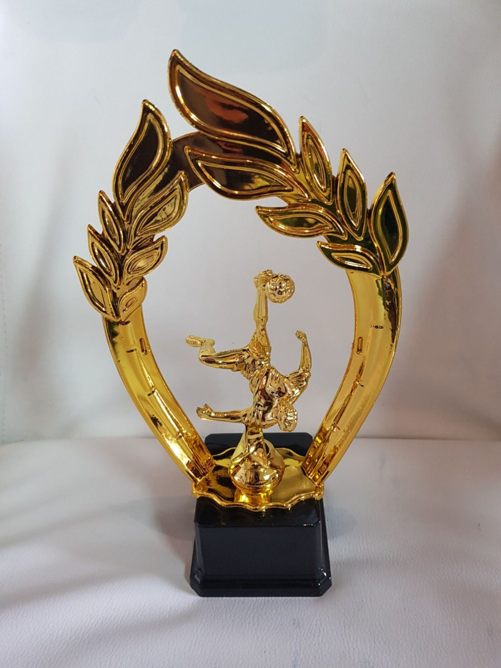 גביעי הוקרה לכל ענפי הספורט   - כדורגל