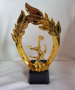 גביעי הוקרה לכל ענפי הספורט   - כדורגל