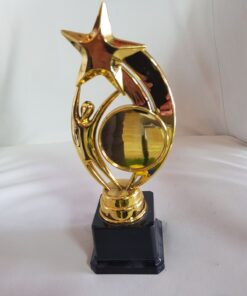 גביע פסלון הוקרה  כללי