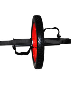 גלגל כח מקצועי לחיזוק שרירי הבטן