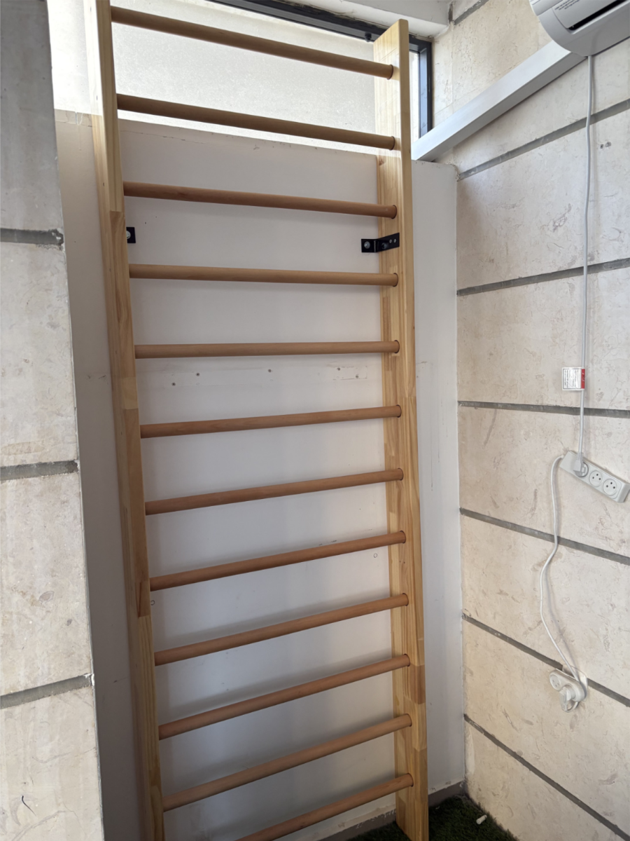 סולם שוודי יחיד כולל ראש 85X260 ס'מ