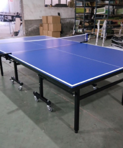 פינג פונג לשימוש פנים TABLE TENNIS ISRAEL