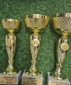 סט 3 יח גביעי שחמט