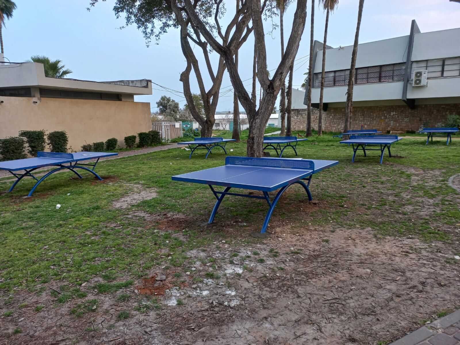 שולחן טניס SCHOOL רוברטו פרה – תמונה 4